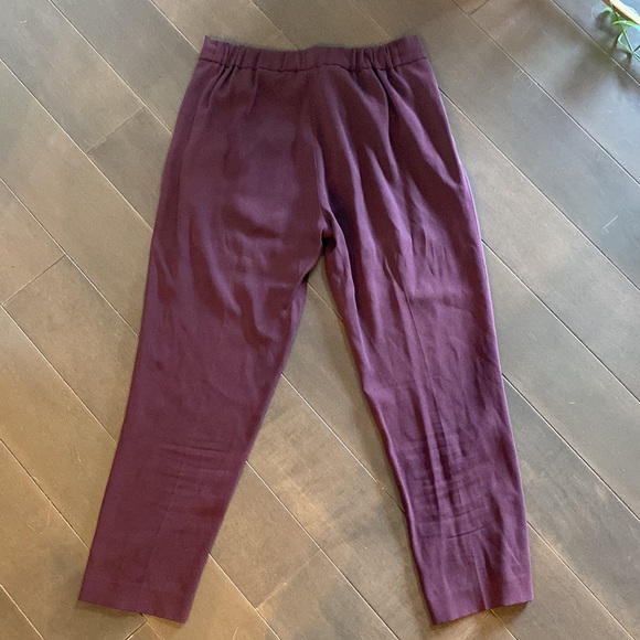 Aritzia Babaton Cohen Pants - Picture 5 of 5